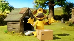 بره ناقلا (سوت جدید بیتزر)